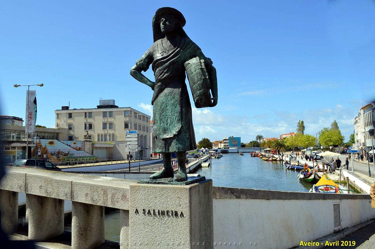 1431 - Aveiro.jpg
